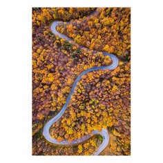 Картина (60х90 см) Осенний лес и дорога HE-101-679 Ekoramka