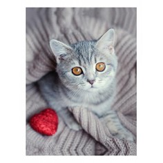Картина (30х40 см) Серый котенок с сердечком HE-101-564 Ekoramka