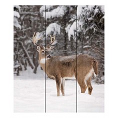 Картина (80х120 см) Олень зима DE-104-563 Ekoramka