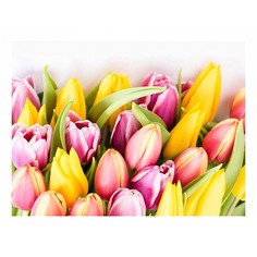 Картина (40х30 см) Большой букет тюльпанов HE-101-700 Ekoramka
