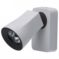 Спот Астор 4 545021001 Mw Light