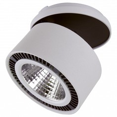 Спот Forte Inca LED 214809 Lightstar