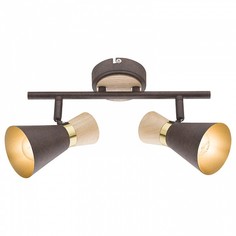 Спот Aeron 54808-2 Globo