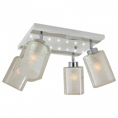 Спот Прима CL160241 Citilux