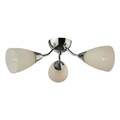 Потолочная люстра 771-107-03 Velante