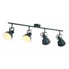 Спот Martin A5215PL-4BG Arte Lamp