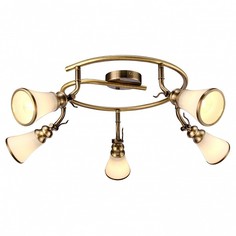 Спот Vento A9231PL-5AB Arte Lamp