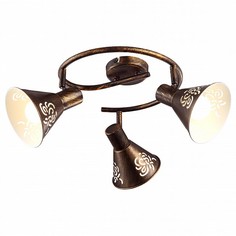 Спот Cono A5218PL-3BR Arte Lamp