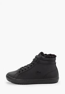 Кеды Lacoste