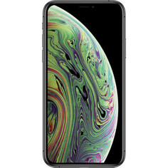 Смартфон Apple iPhone XS 64GB Space Grey (MT9E2RU/A)