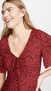 BB Dakota Party Animal Dress