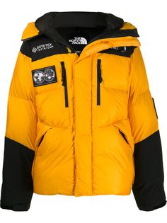 The North Face куртка Gore-Tex со вставками