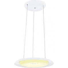 Подвесной светильник Deluxe HRZ00002265 Horoz Electric