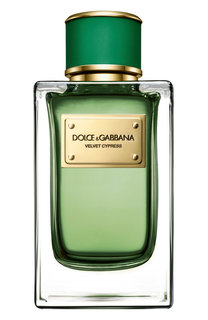 Парфюмерная вода Velvet Collection Cypress Dolce & Gabbana