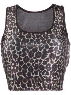 Golden Goose leopard sports bra