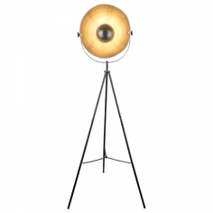 Торшер Sandra 58323S Globo