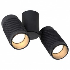 Спот Kinescope 2452-2U Favourite