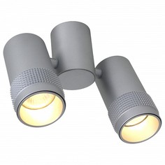 Спот Kinescope 2454-2U Favourite