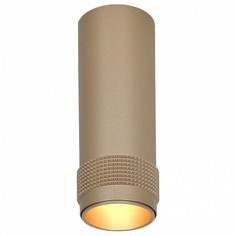 Накладной светильник Kinescope 2455-1C Favourite