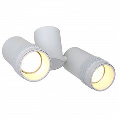 Спот Kinescope 2453-2U Favourite