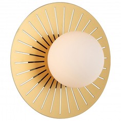 Бра Sonnenblume 2356-1W Favourite