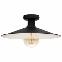 Накладной светильник Broughton 43003 Eglo