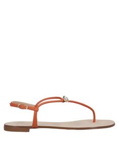 Вьетнамки Giuseppe Zanotti