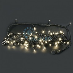 Гирлянда Нить (10 м) RL-S10CF-24V-B/WW Rich Led