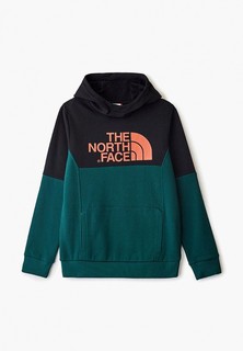 Худи The North Face