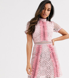 Розовое кружевное платье мини с контрастными оборками True Decadence Petite