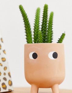 Терракотовый цветочный горшок Sass & Belle