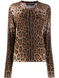 Dolce & Gabbana трикотажный джемпер с леопардовым принтом