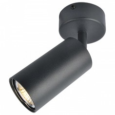 Спот 3216 A3216PL-1BK Arte Lamp