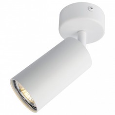 Спот 3216 A3216PL-1WH Arte Lamp