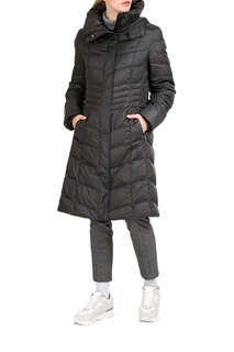 coat Baronia