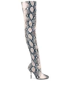 Stuart Weitzman ботфорты Shiloh с тиснением под кожу питона