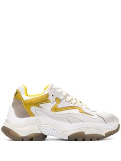 Ash Addict sneakers