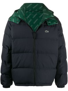 Lacoste hooded padded jacket