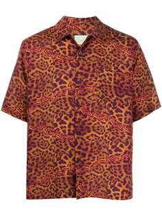 Aries рубашка с леопардовым принтом