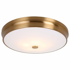 Накладной светильник Pannikin 2375-5C Favourite