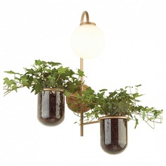 Бра Flower 4682/1W Odeon Light