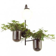 Бра Flower 4681/1W Odeon Light