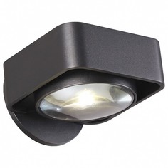 Бра Paco 3889/6WB Odeon Light