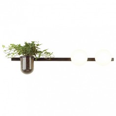 Бра Flower 4681/2W Odeon Light