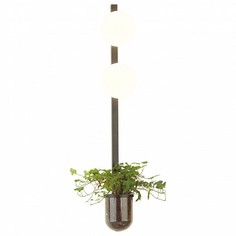 Бра Flower 4681/2WA Odeon Light