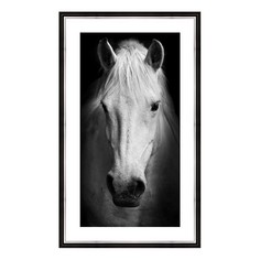 Картина (30х50 см) Белый конь BE-103-318 Ekoramka