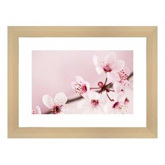 Картина (40х30 см) Ветка сакуры BE-103-222 Ekoramka