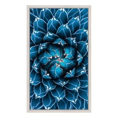 Картина (30х50 см) Синий суккулент BE-103-239 Ekoramka