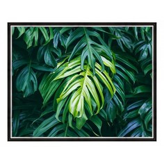 Картина (50х40 см) Тропическое растение BE-103-266 Ekoramka