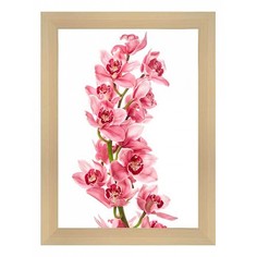 Картина (30х40 см) Розовая орхидея BE-103-186 Ekoramka